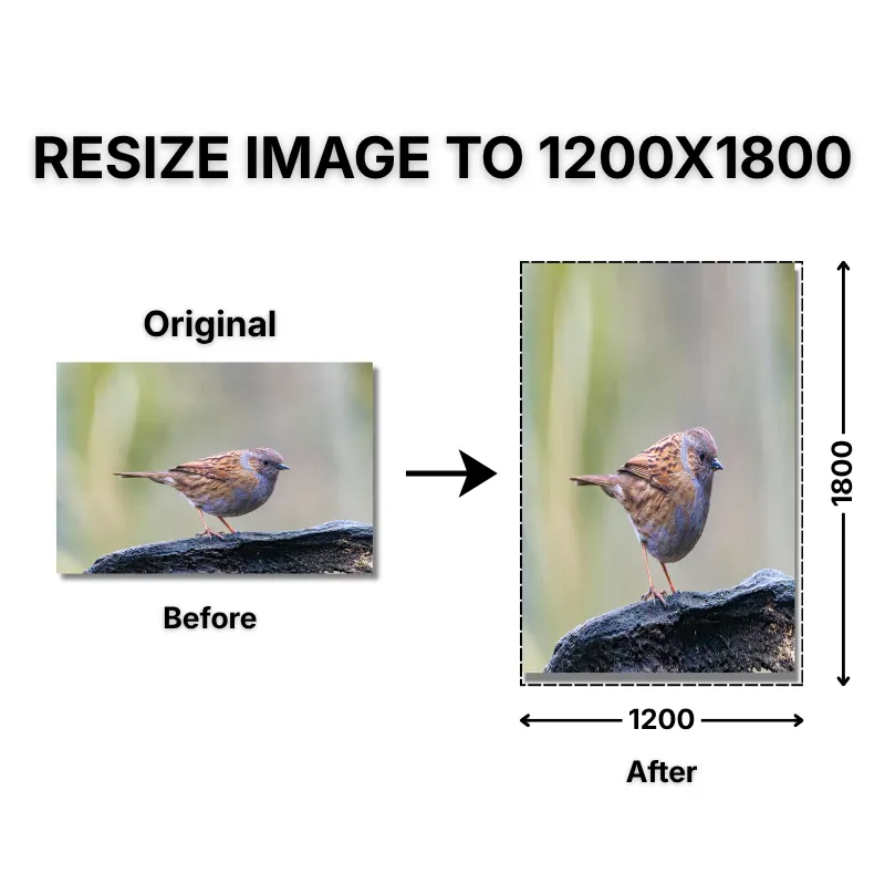 resize image to 1200x1800